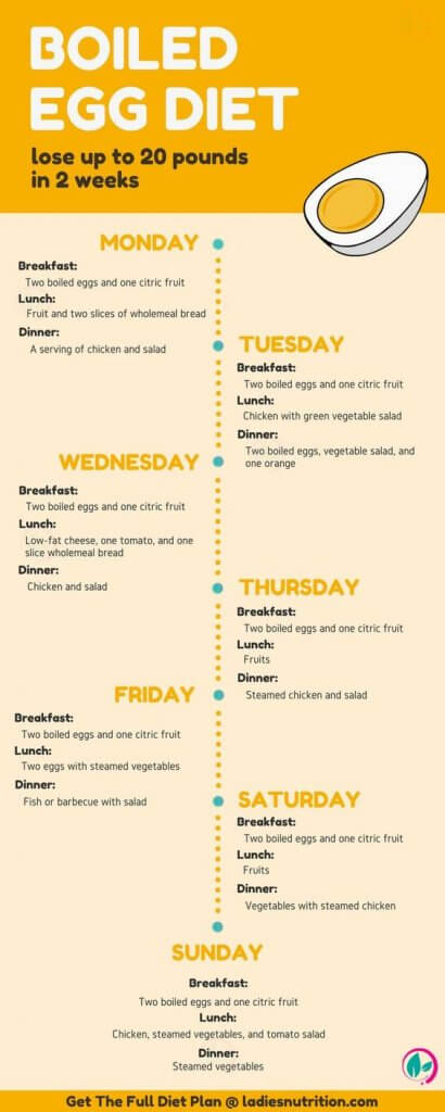 meal plan to lose belly fat