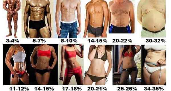 how-to-accurately-calculate-your-body-fat-percentage-ladies-nutrition